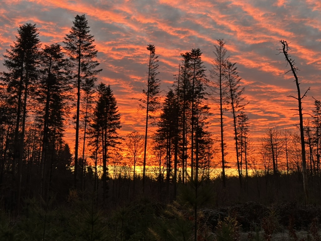 Morgenrot, Start in den Advent und neue Frisur – Meine Glücksmomente der Woche (29/11/25)