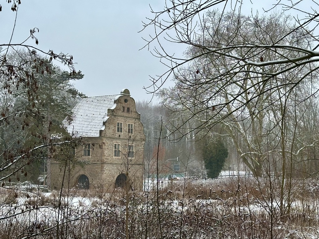 Gedanken, Schnee & Chicorée – Meine Glücksmomente der Woche (31/01/26)