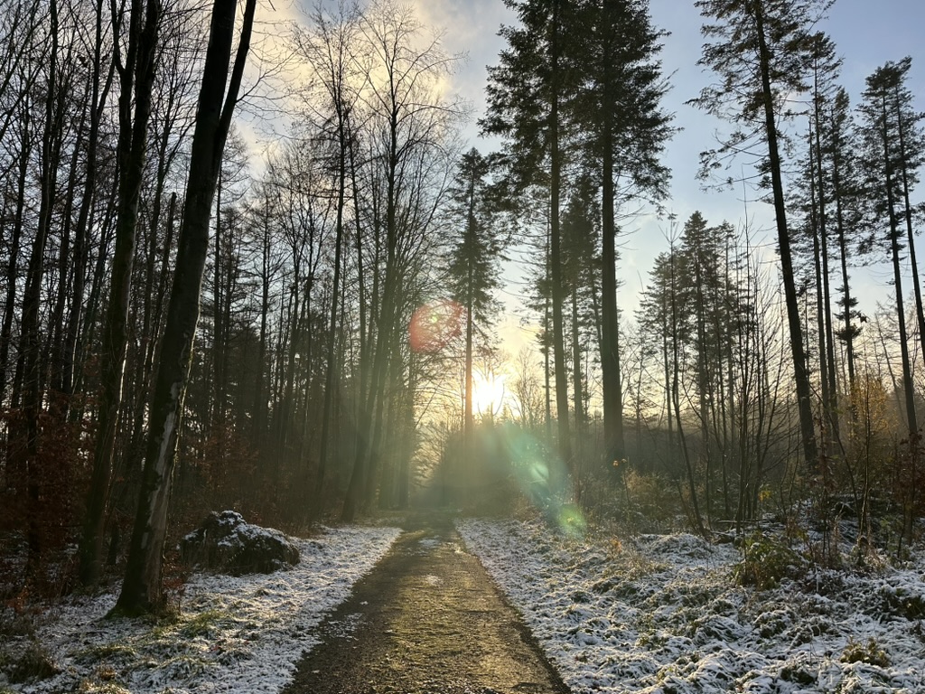 Familiengeschichte, Geschenke an mich selbst & erster Schnee – Meine Glücksmomente der Woche (22/11/25)