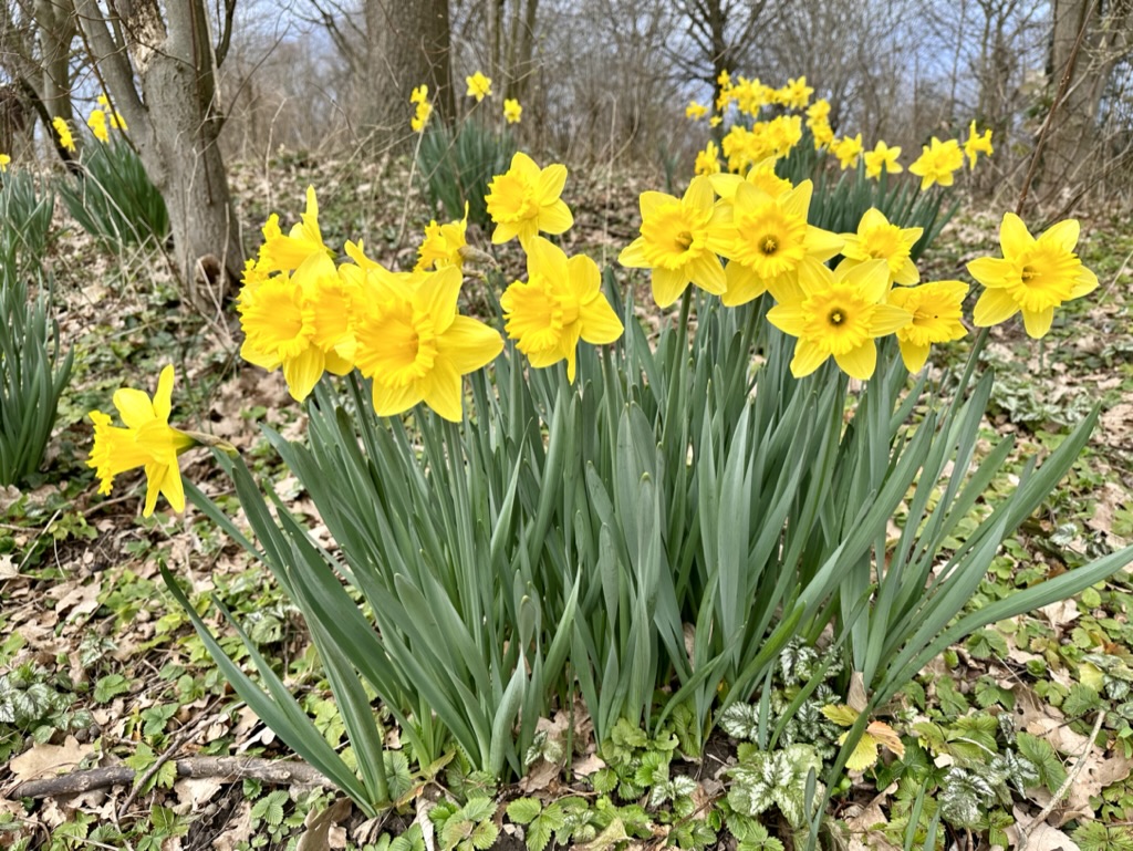 Selfcare für die letzten Winterwochen