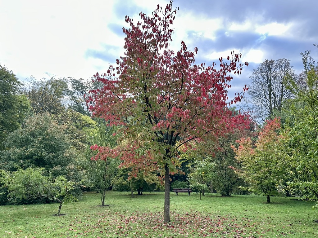 Herbst, Selbstfürsorge & Sonne – Meine Glücksmomente der Woche (04/10/25)
