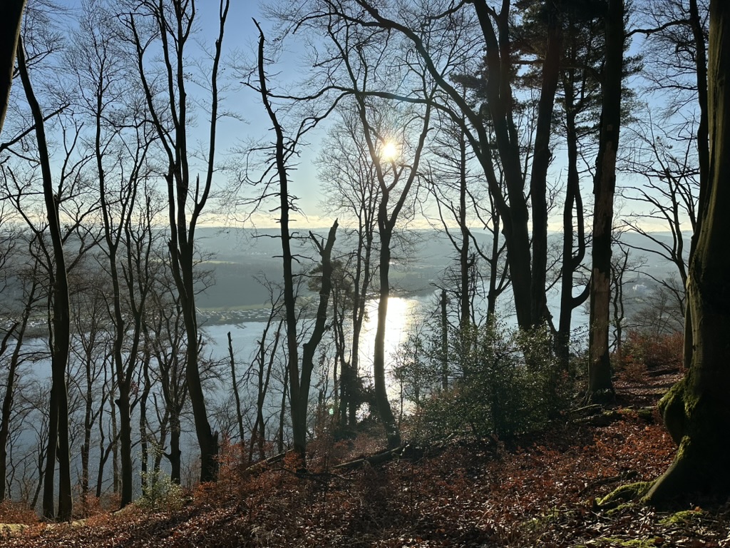 Sternschnuppen, Mistel & schöne Worte – Meine Glücksmomente der Woche (20/12/25)