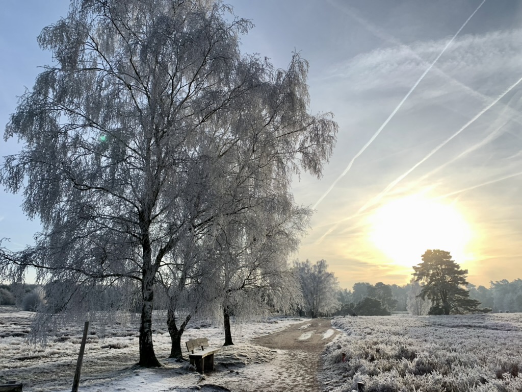 Worauf wir uns im Winter freuen dürfen