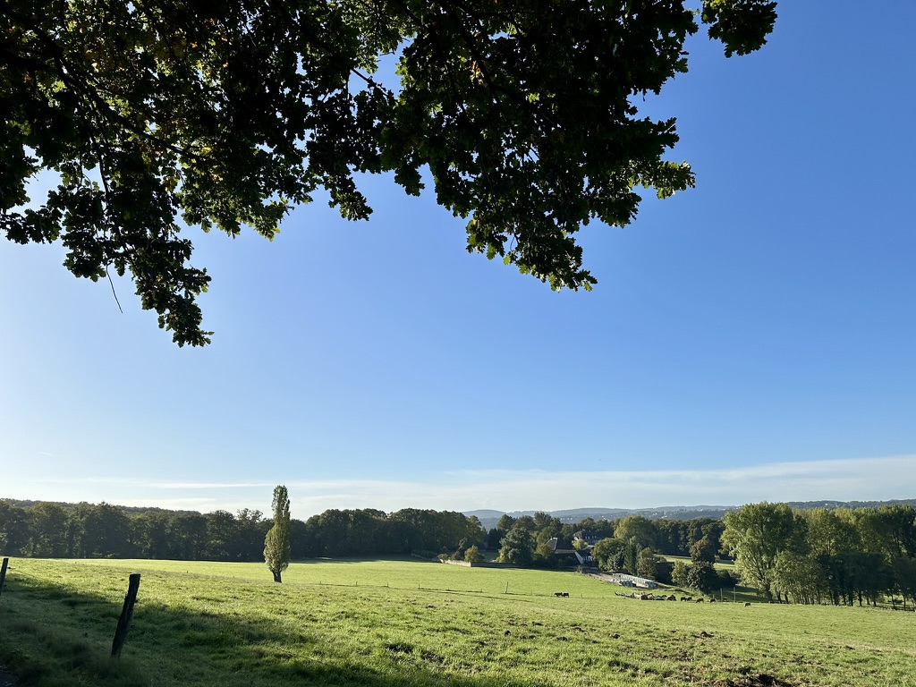 Herbst, Zwiebelkuchen und ein Insel-Buch – Meine Glücksmomente der Woche (27/09/25)
