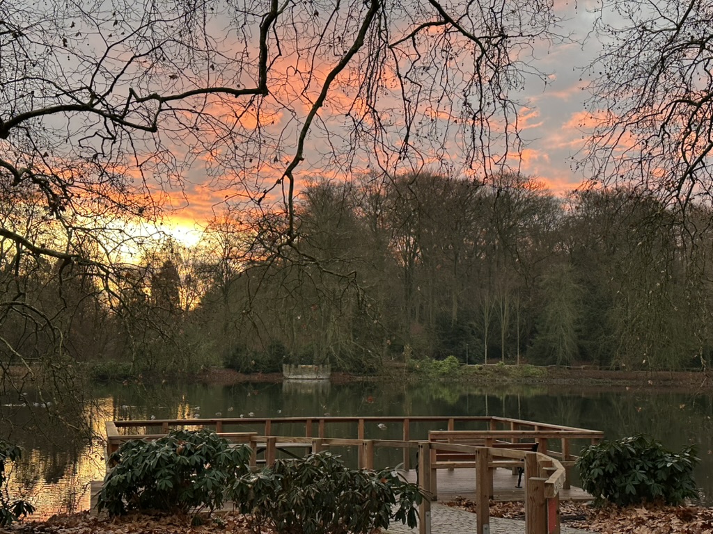 Gemütlichkeit, Schwanzmeisen und Wintern – Meine Glücksmomente der Woche (06/12/25)