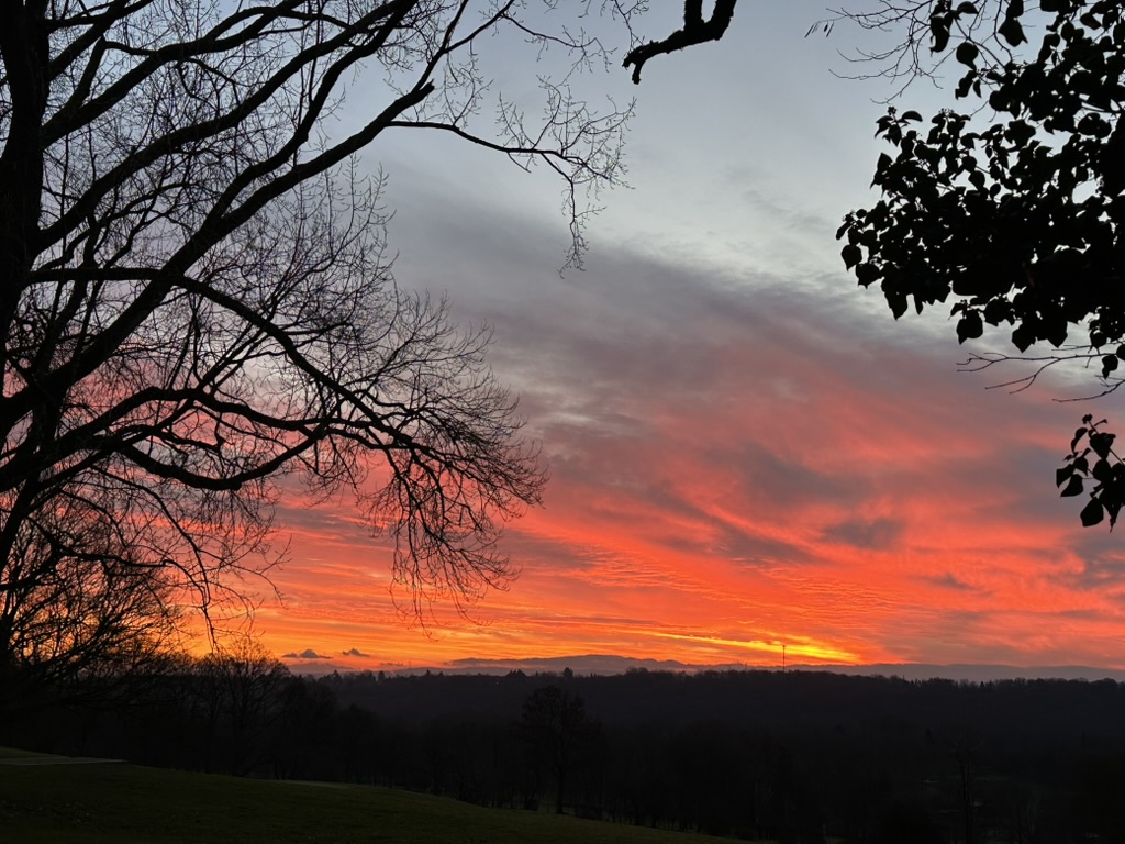 Eichhörnchentassen, Sperrnächte & Sonnenaufgänge – Meine Glücksmomente der Woche (13/12/25)