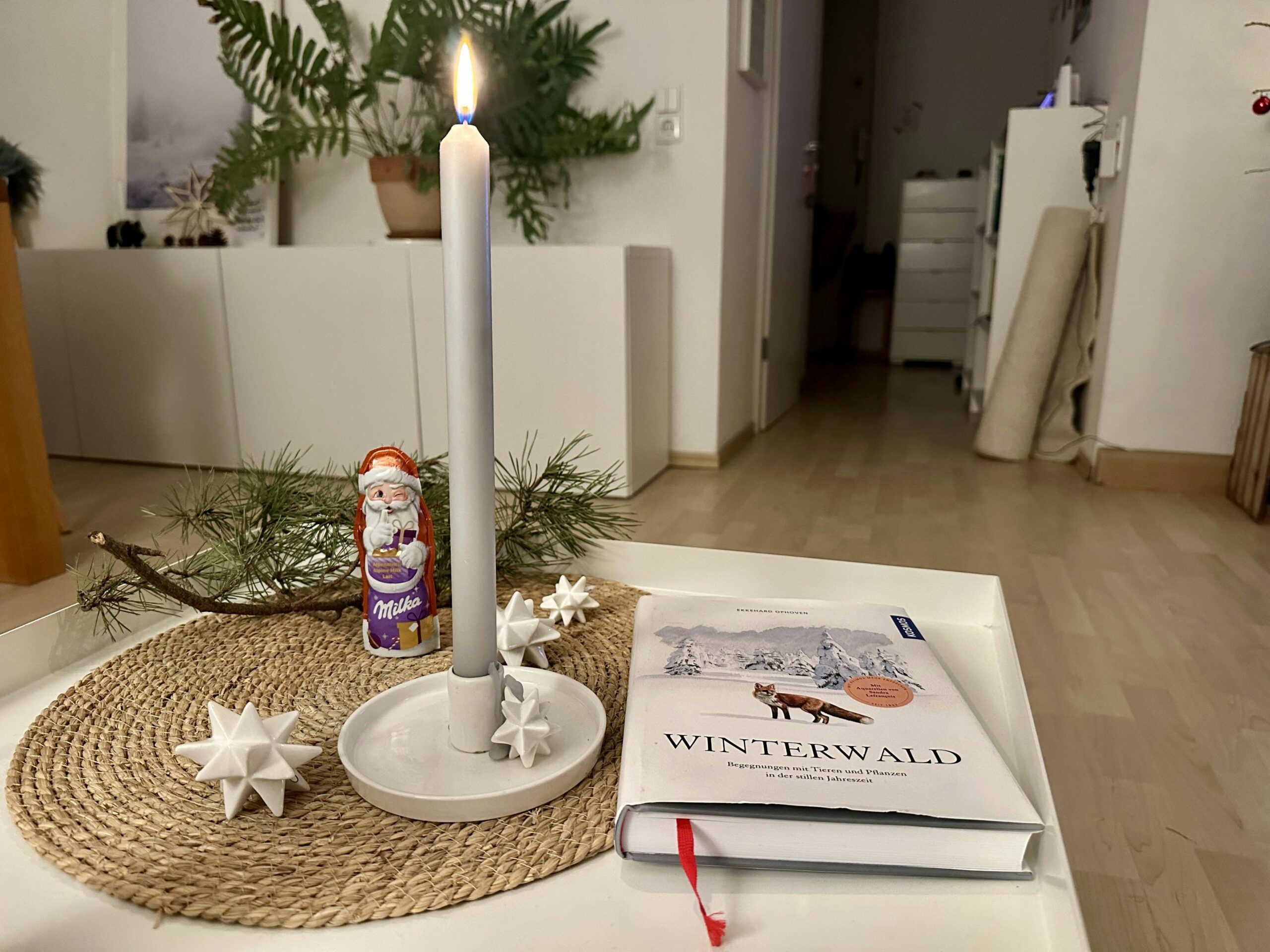 Weißer Metalltisch mit einer runden Sisalmatte. Darauf ein weißer Kerzenständer mit Stern und brennender grauer Stabkerze, ein Schoko-Nikolaus, ein Fichtenzweig und ein Buch.