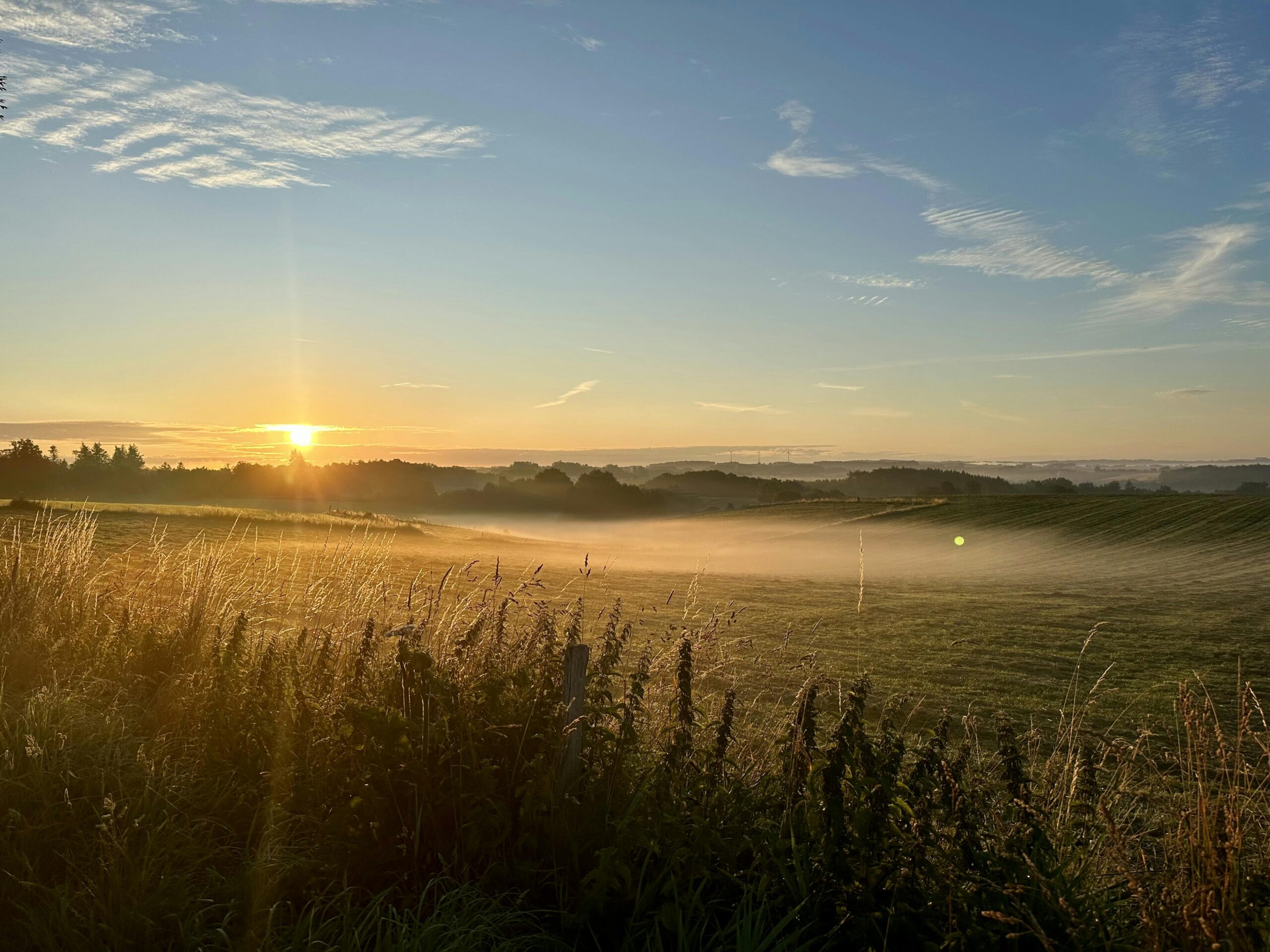 Blick über Felder bei aufgehender Sonne und zartem Morgenlicht. Über dem Boden liegt leichter Nebel.