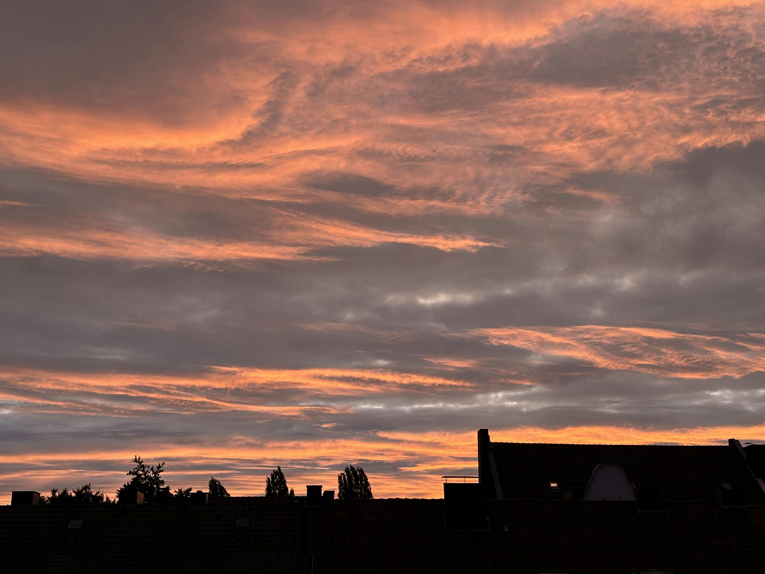 Stadtsilhouette mit rosé gefärbten Wolken am Himmel.