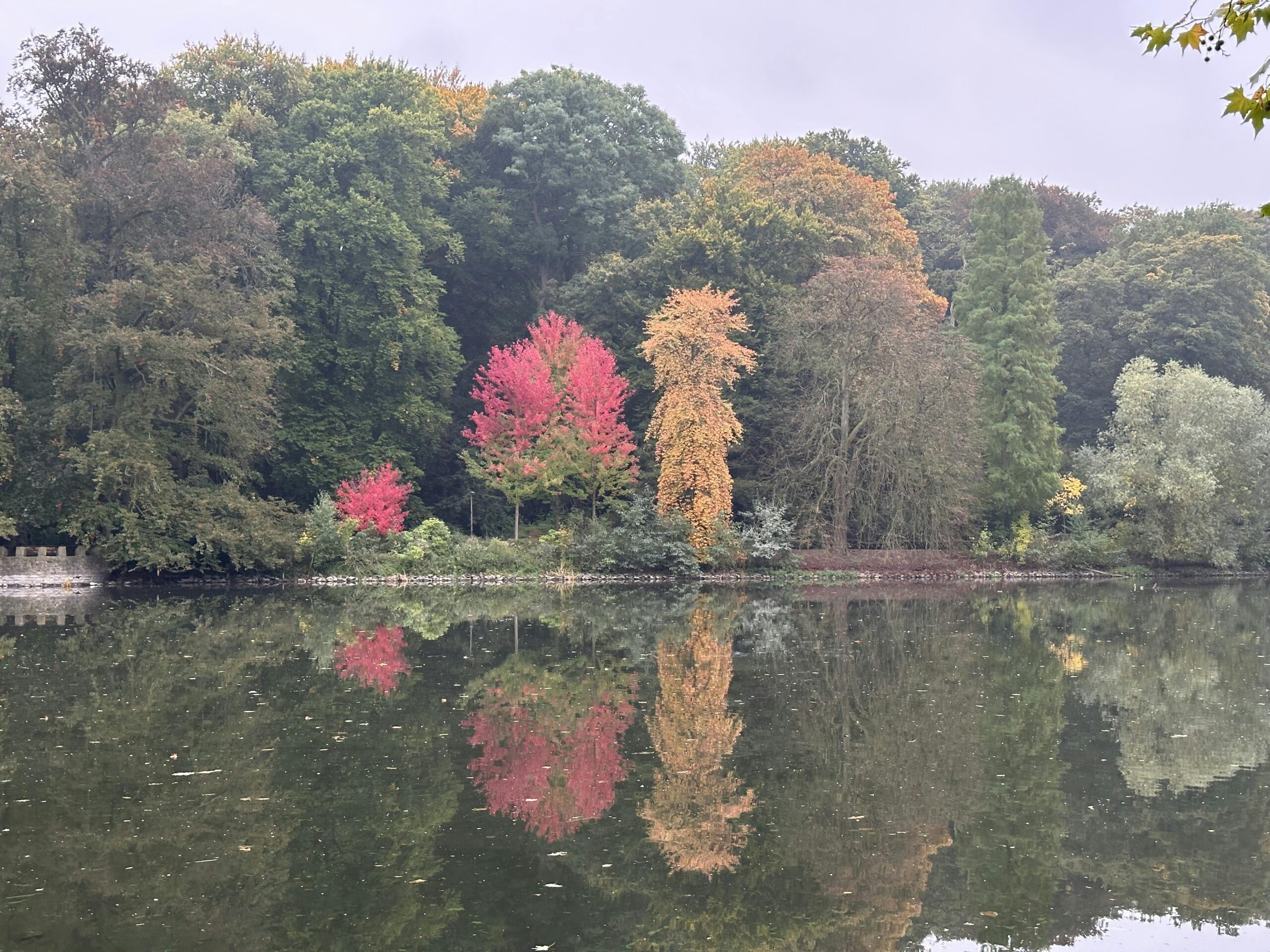 See bei trübem Wetter. Dahinter drei Bäume mit buntem Laub in knallrot und orange-gelb.