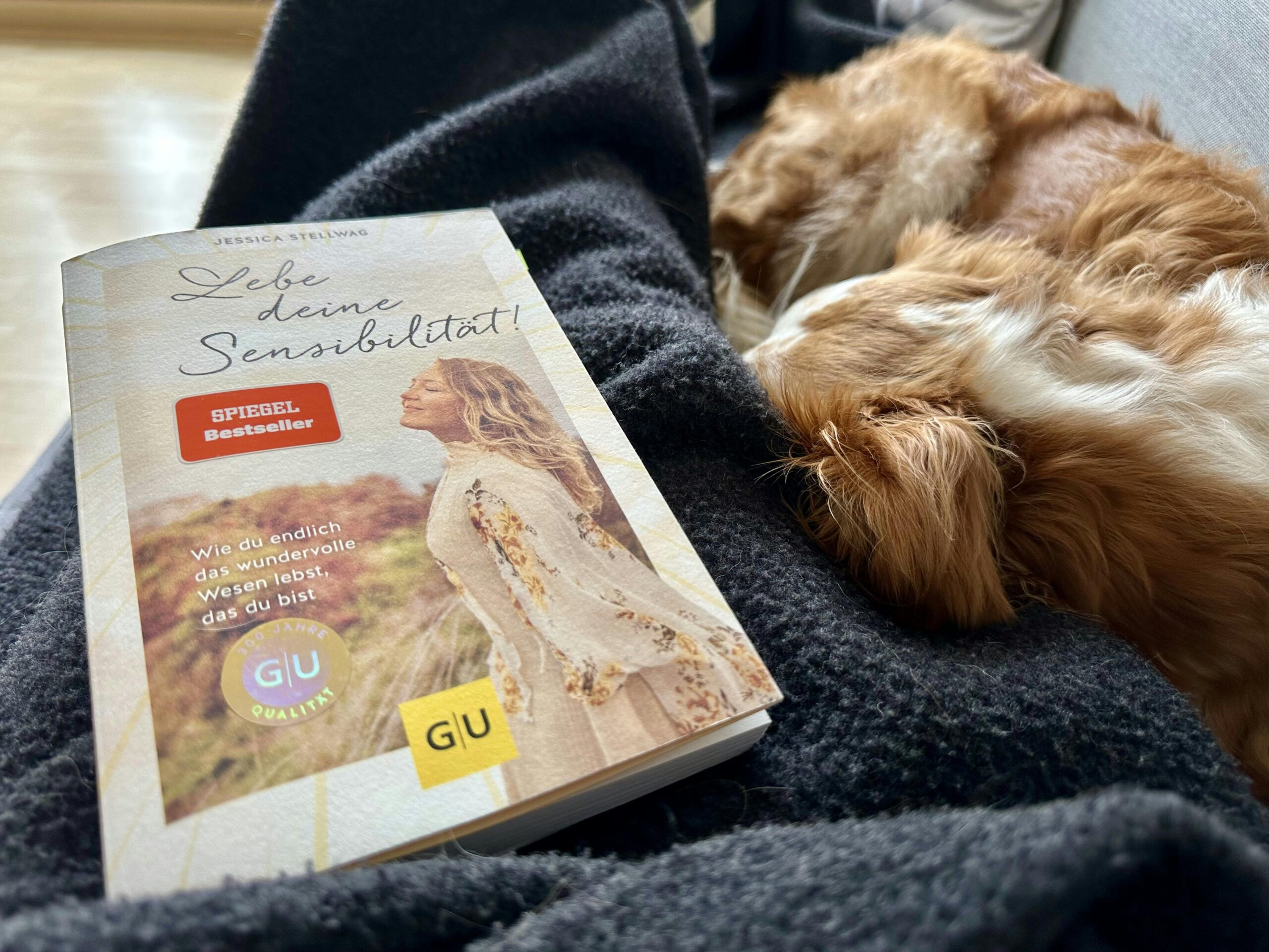 Foto vom Buch "Lebe deine Sensibilität" von Jessica Stellwag. Das Buch liegt auf einer Wolldecke, unter der jemand liegt und daneben liegt ein schlafender braun-weißer Hund.