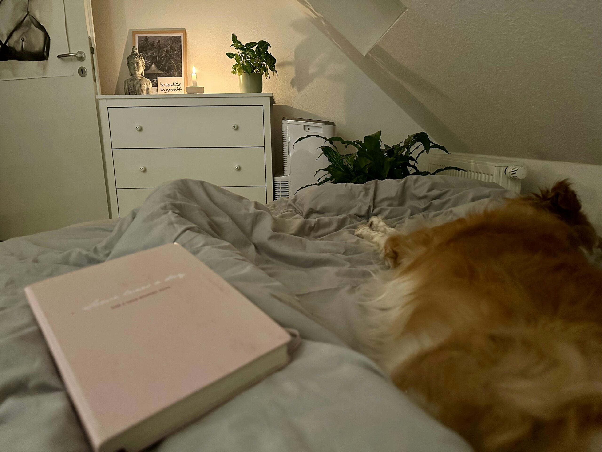 Notizbuch "Some lines a day" in zartrosa auf einer Bettdecke, daneben ein schlafender Hund. Im Hintergrund eine Kommode mit einer Pflanze, einer brennenden Kerze und einem Budddhakopf.