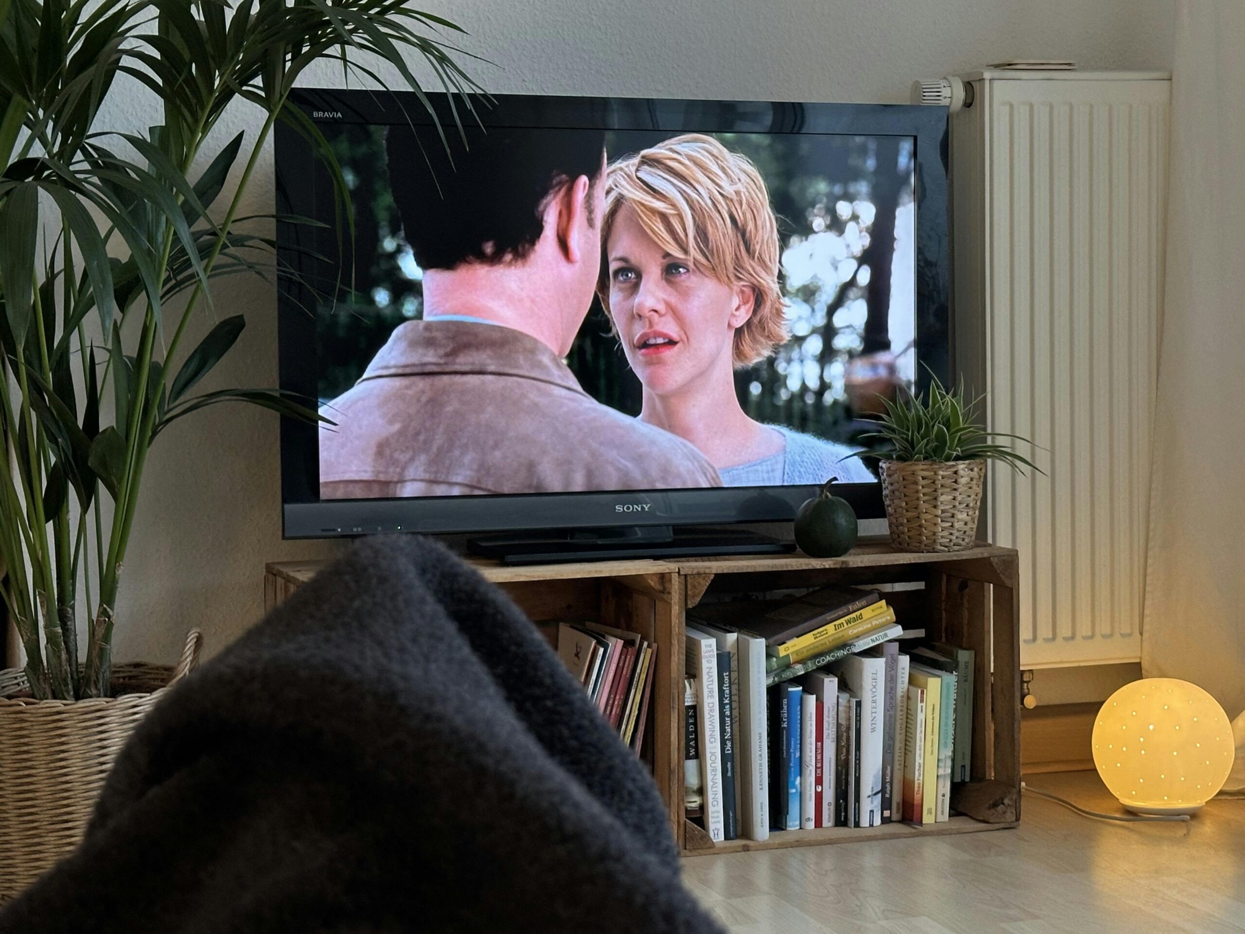 Blick auf einen Fernseher neben einer Zimmerpalme und einer kleinen Leuchte. Auf dem Monitor sind Tom Hanks und Meg Ryan zu sehen.