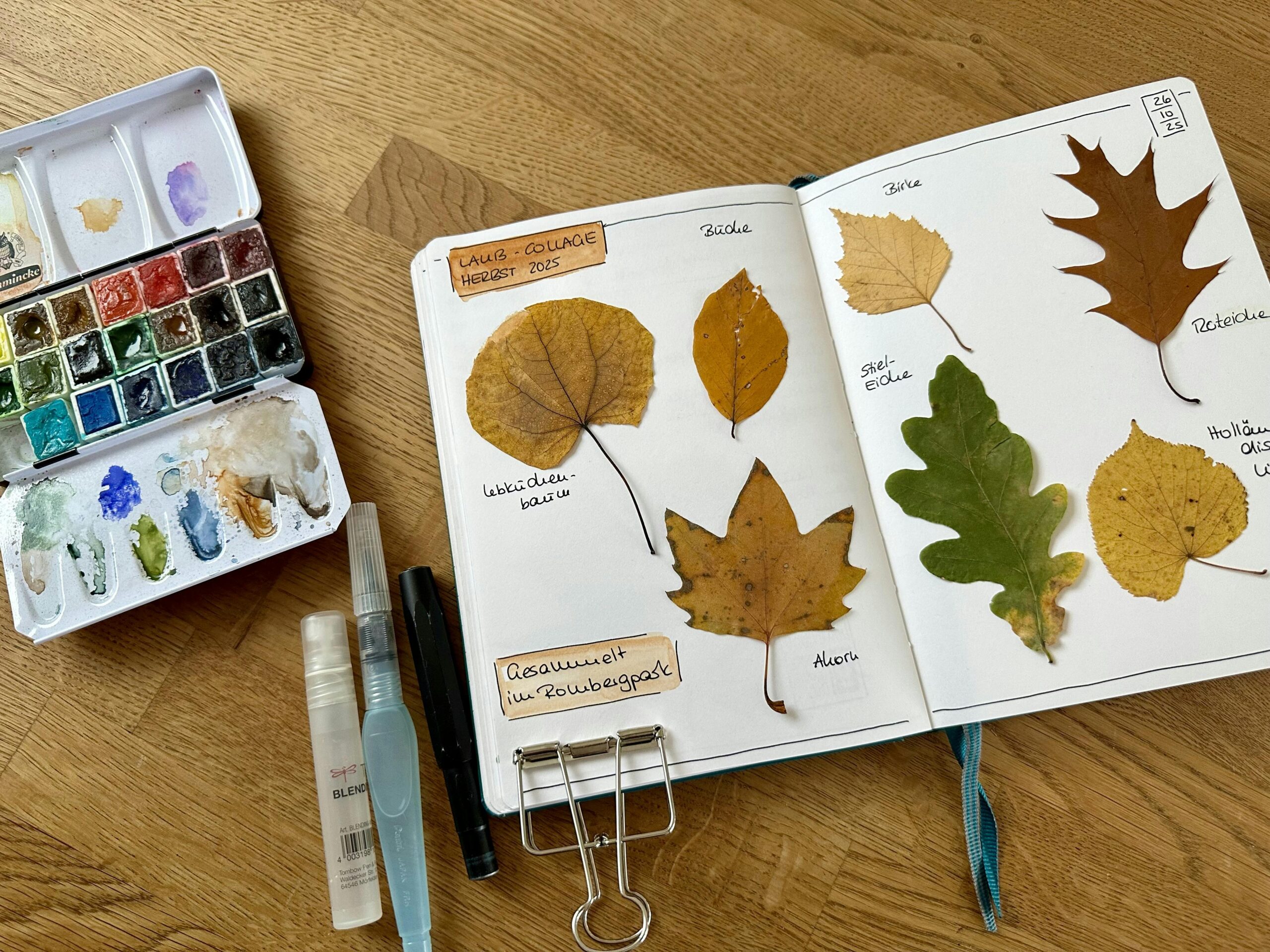 Doppelseite eines geöffneten Notizbuchs. Darin finden sich aufgeklebte getrocknete Laubblätter mit Beschriftung. Neben dem Notizbuch liegt ein geöffneter Aquarellkasten, ein Wassertankpinsel und ein Füller.
