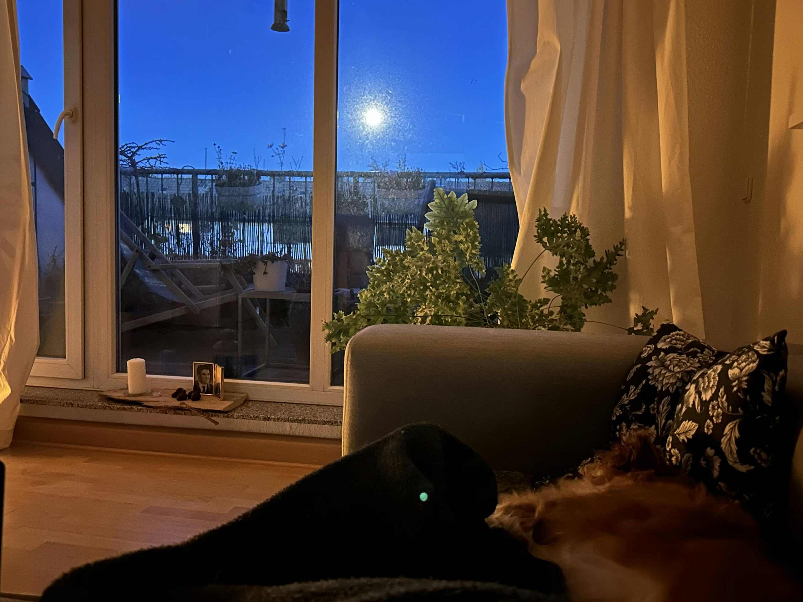 Blick von einer Couch in einem eher dunklen Wohnzimmer raus auf eine Dachterrasse. Am fast dunklen Himmel steht der Vollmond.