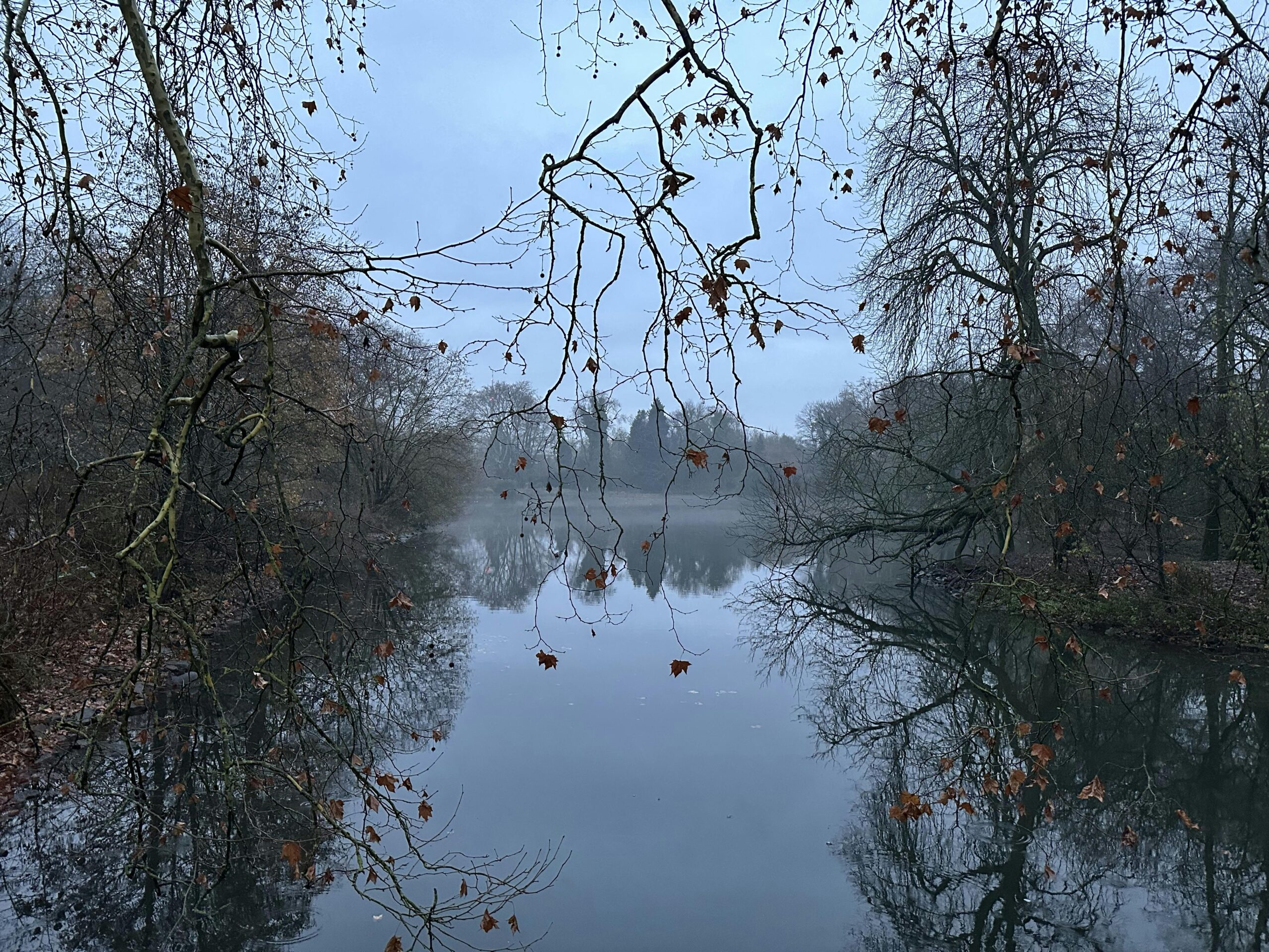 Trüber Novembermorgen: Blick auf einen See mit entlaubten, herabhängenden Zweigen.