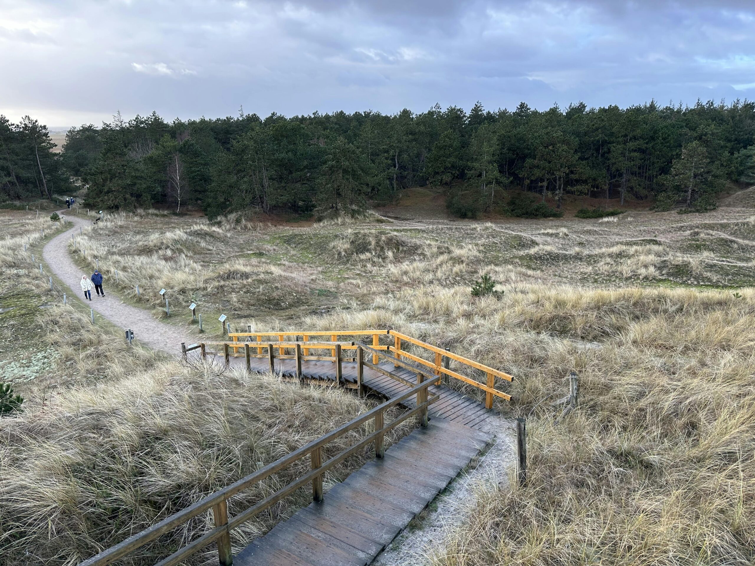 Blick auf einen Weg durch die Dünenlandschaft in St. Peter Ording von einem Ausblick aus. Im Hintergrund sieht man den Wald.