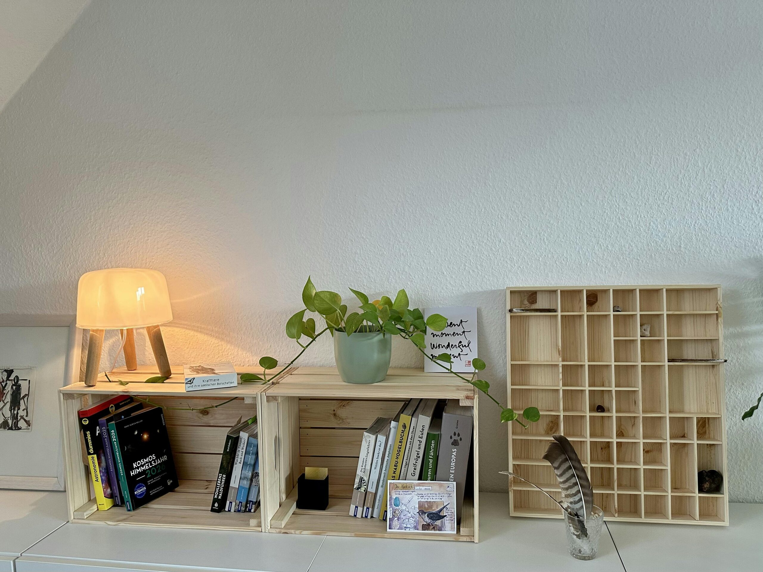 Zwei Holzkisten mit Büchern und einer Lampe darauf. Daneben ein Setzkasten aus Holz.