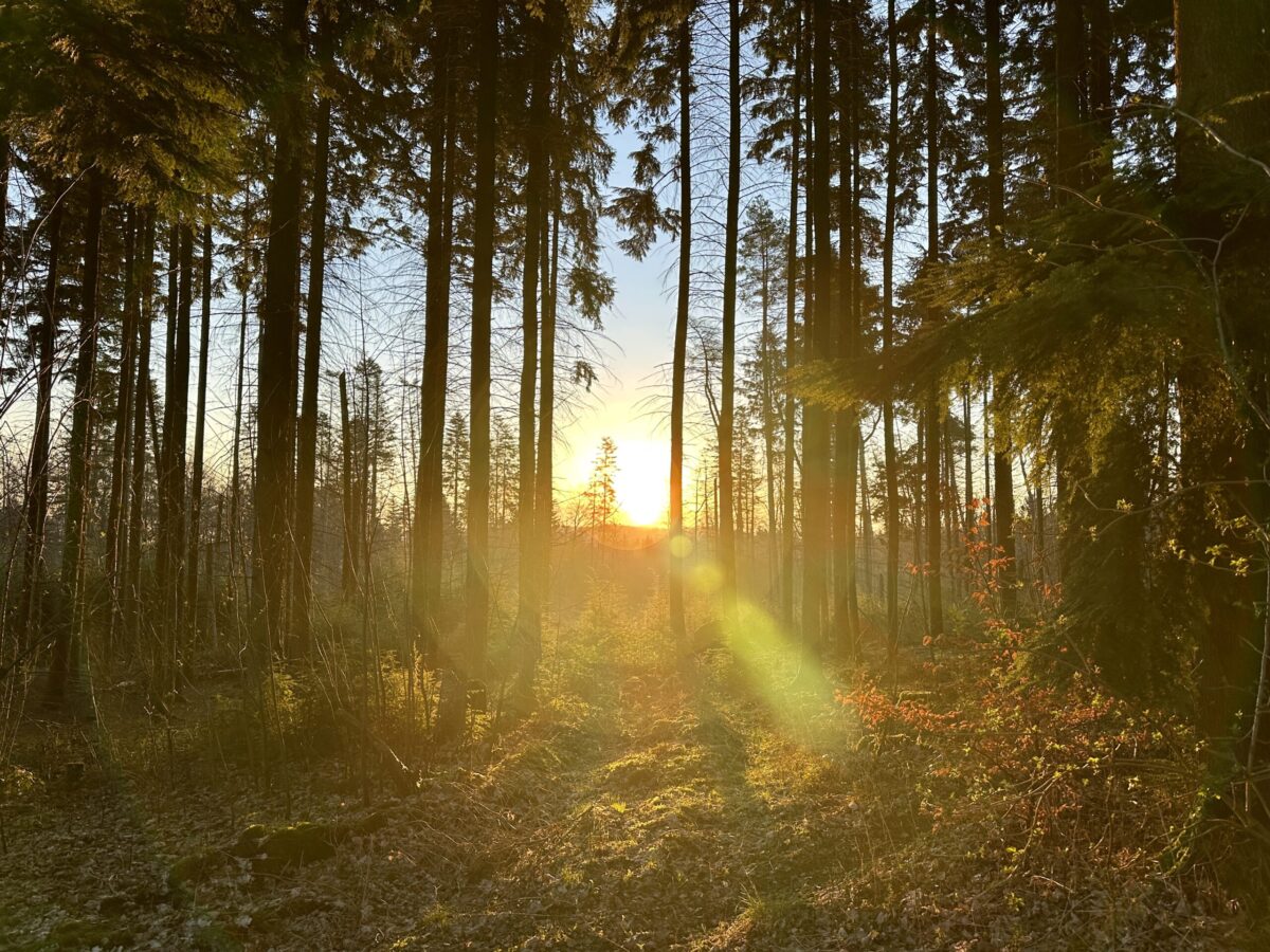Frühlingsgefühle, Zielerreichung & französisches savoir vivre – Meine Glücksmomente der Woche (07/03/26)