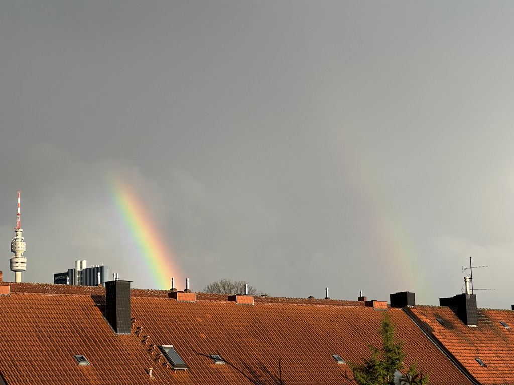 Regenbögen, Blümchen und Leichtigkeit – Meine Glücksmomente der Woche (11/04/26)