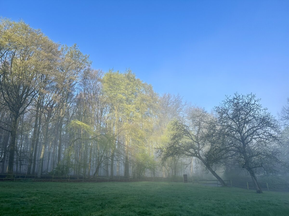 Wald, Frühstücke & Naturerwachen – Meine Glücksmomente der Woche (18/04/26)