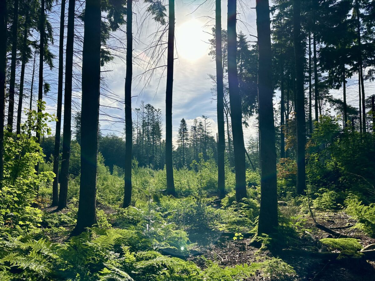 Freundinnenzeit, Selbstfürsorge und Stille – Meine Glücksmomente der Woche (13/06/26)