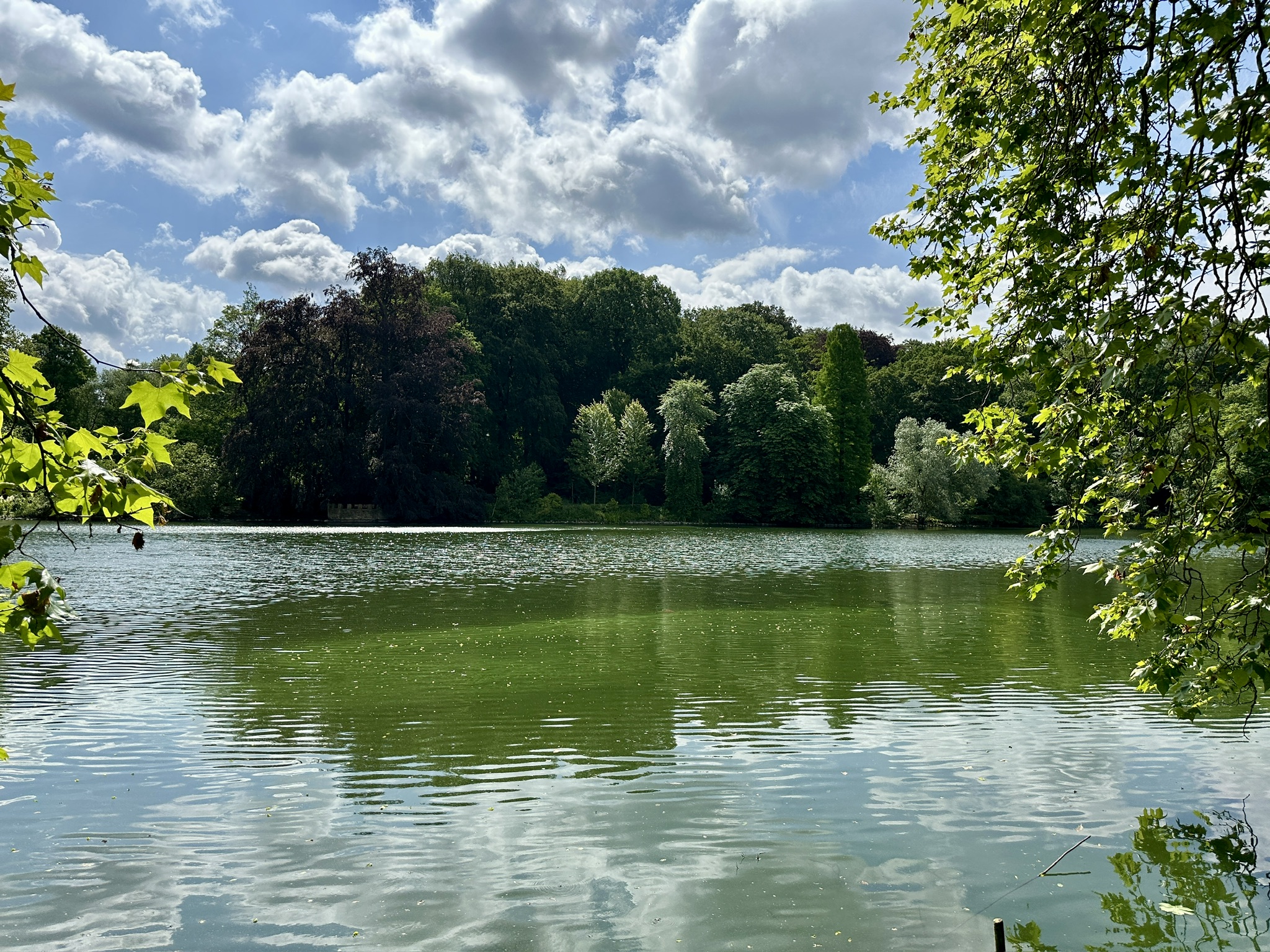 Wasservögel, Zitronen und Ferienhäuser – Meine Glücksmomente der Woche (20/06/26)
